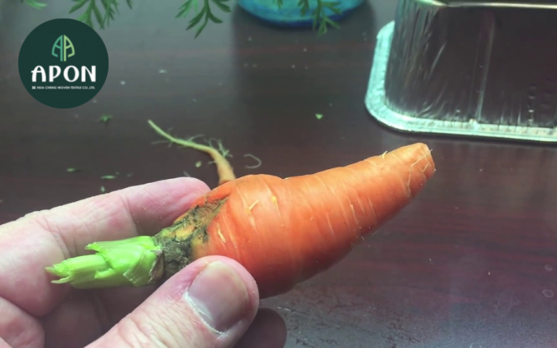 Những lưu ý khi trồng cà rốt thủy canh trong nhà kính