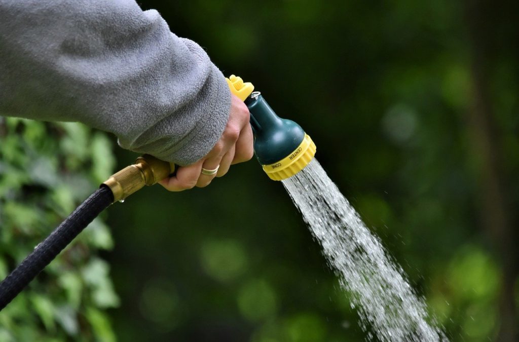 Tiết kiệm nước - lý do sử dụng lưới chống côn trùng của người nông dân