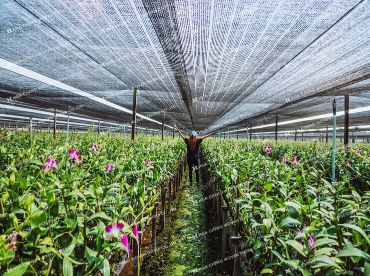 Lưới che hoa lan giúp bảo vệ khỏi ánh nắng trực tiếp