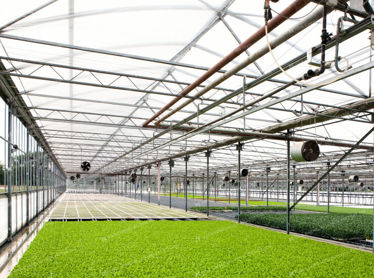 Quản lý độ ẩm khi xây dựng nhà màng nông nghiệp bằng màng nhà kính
