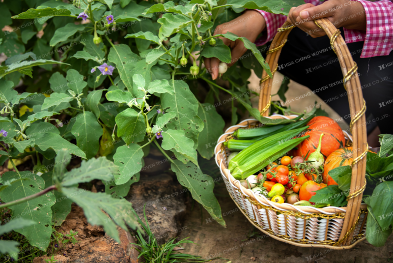 10 Bước Để Trồng Rau Tại Nhà – Bí Quyết Có Vườn Rau Sạch Ngay Tại Nhà ...