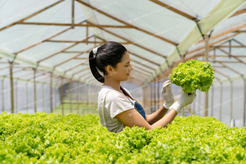Lưới chống côn trùng APON đồng hành cùng bạn chinh phục chuẩn GlobalGAP