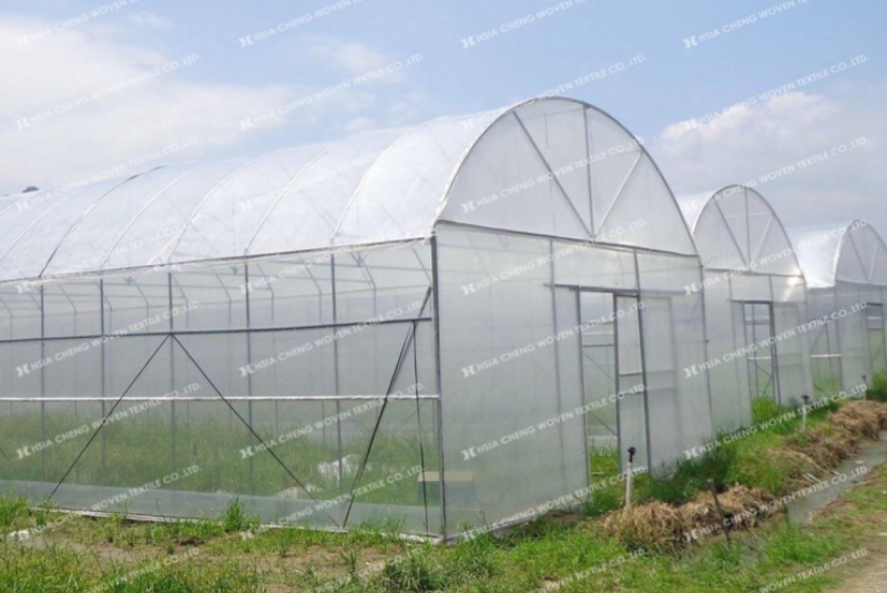 Sự kết hợp hoàn hảo giữa luới chắn côn trùng APON và màng Sun Master