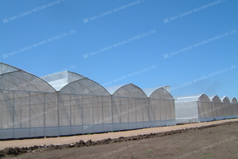 Lưới chống côn trùng APON- Bạn đồng hành của nhà nông