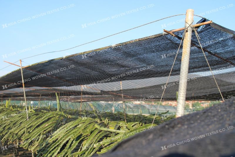 Lưới che nắng ứng dụng trong nông nghiệp Lưới che nắng ứng dụng trong nông nghiệp