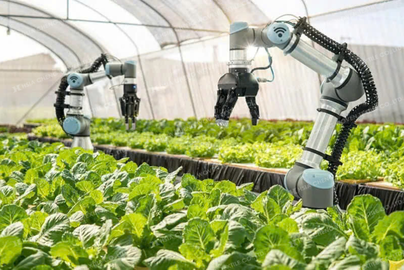 Cảm biến IoT giám sát môi trường canh tác