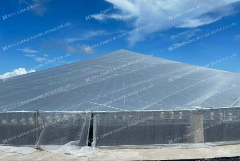 Lưới mùng làm nhà lưới ao nuôi tôm Lưới mùng làm nhà lưới ao nuôi tôm