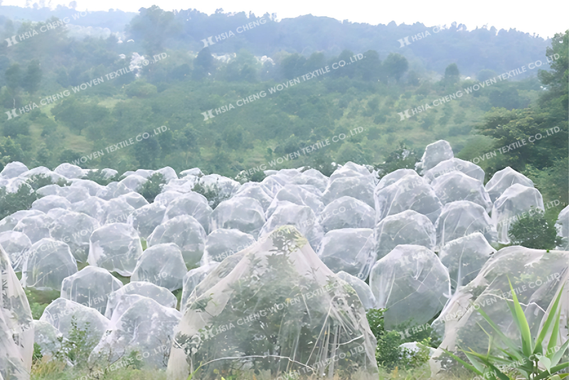 Nhiều người băn khoăn chọn lưới mùng trắng hay lưới mùng đen Nhiều người băn khoăn chọn lưới mùng trắng hay lưới mùng đen