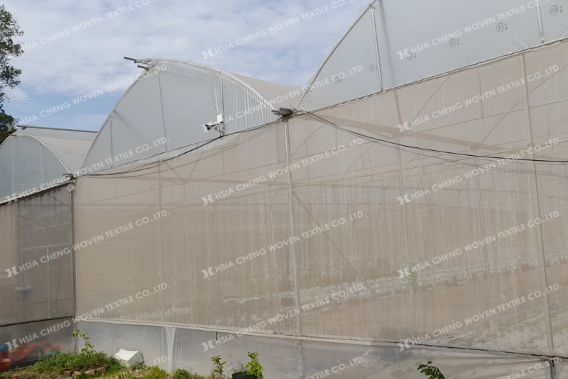 Lưới chắn côn trùng 50 mesh bảo vệ cây trồng toàn diện