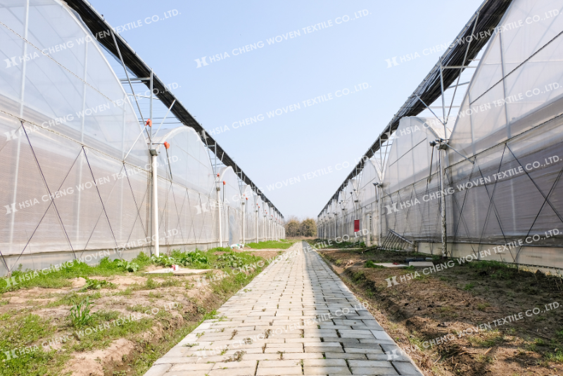 Dùng lưới chắn côn trùng đúng cách để tăng năng suất Dùng lưới chắn côn trùng đúng cách để tăng năng suất