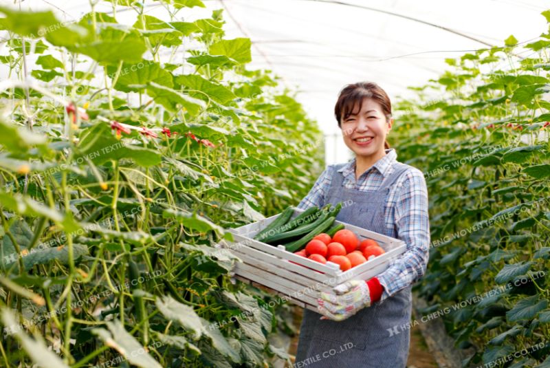 Nông nghiệp công nghệ cao trở thành xu hướng tất yếu của nông nghiệp hiện đại
