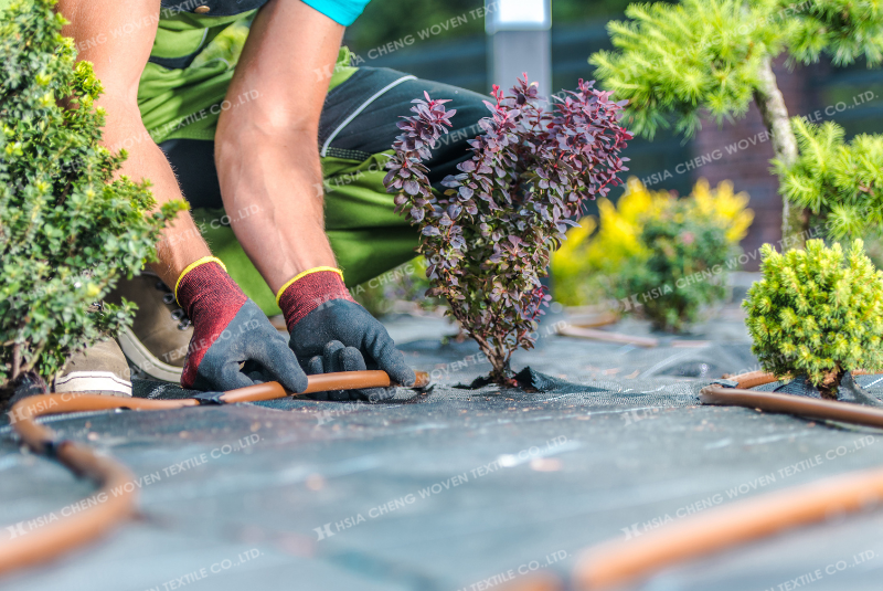 Tưới nhỏ giọt - tiết kiệm nước tối đa Tưới nhỏ giọt - tiết kiệm nước tối đa
