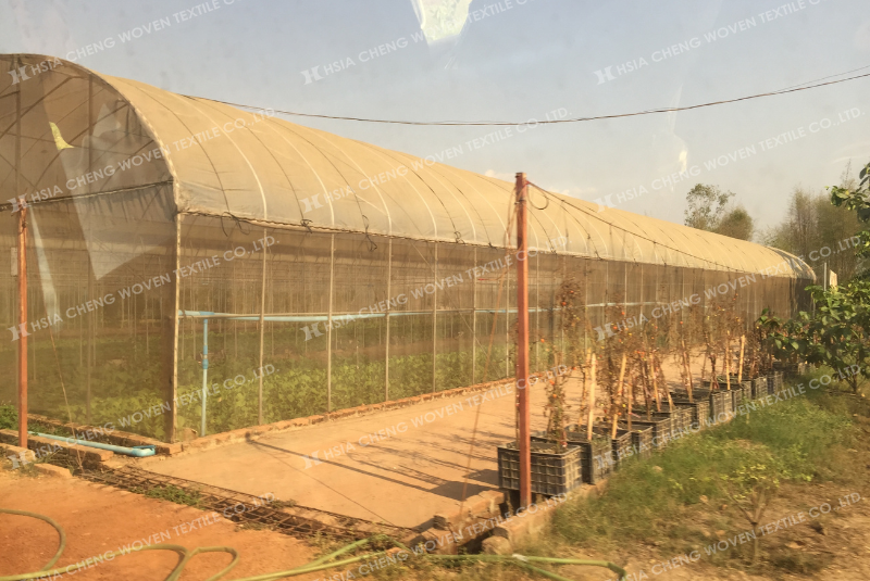 Sai lầm phổ biến khi sử dụng lưới chắn côn trùng - chọn sai loại lưới Sai lầm phổ biến khi sử dụng lưới chắn côn trùng - chọn sai loại lưới