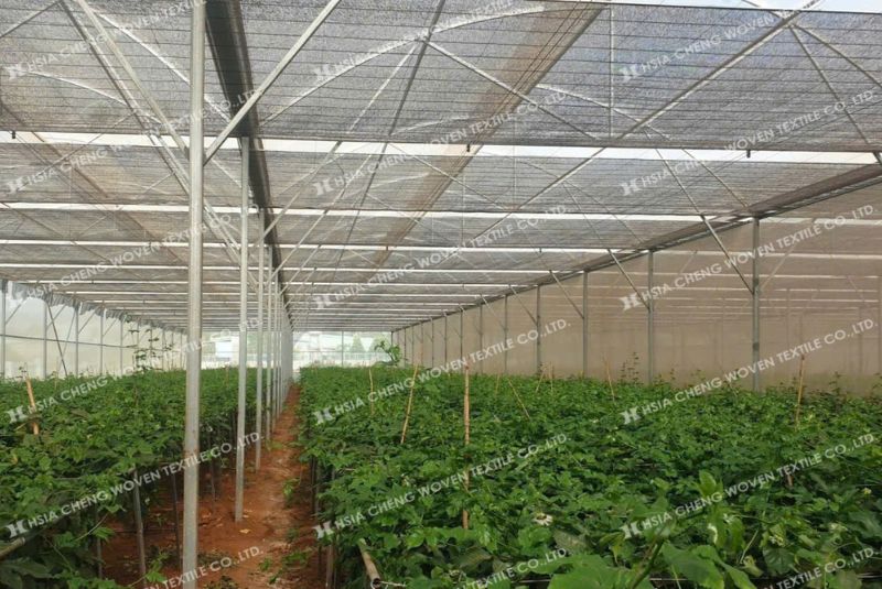 Lưới che nắng dệt thoi giảm nhiệt hiệu quả cho nhà kính