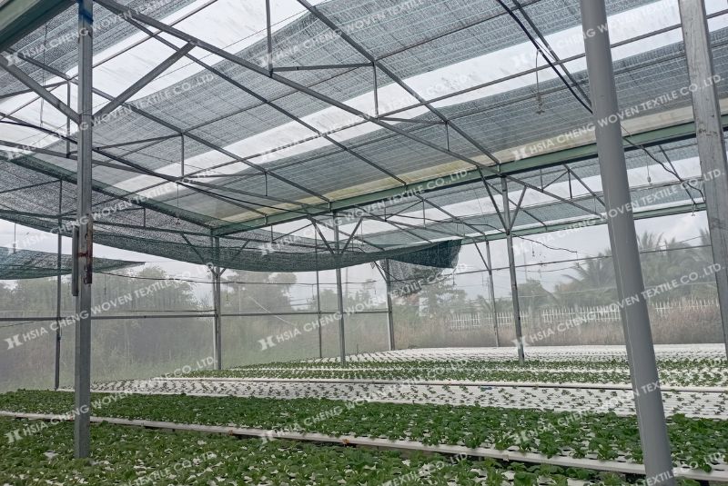   Giải pháp bền vững và kinh tế - Lưới che nắng dệt thoi APON