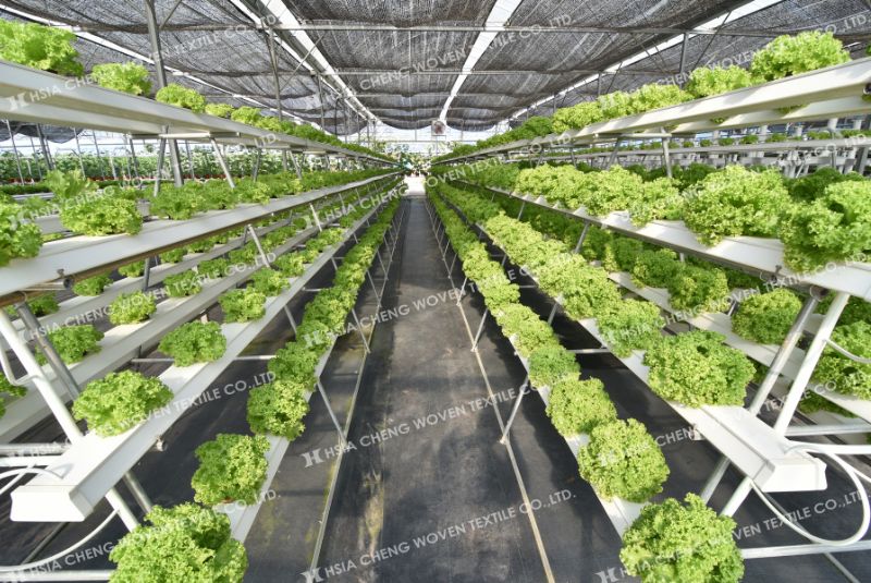 Chọn lưới che nắng phù hợp với cây trồng để đạt hiệu quả tối đa