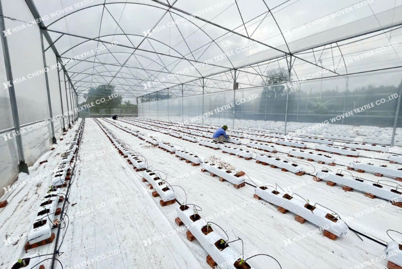 Kết hợp bạt phủ chống cỏ và tưới nhỏ giọt - lợi gấp đôi Kết hợp bạt phủ chống cỏ và tưới nhỏ giọt - lợi gấp đôi