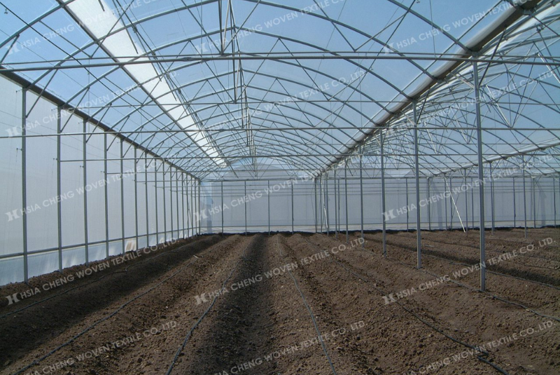 Nên chọn lưới chắn côn trùng phù hợp với từng mô hình NN Nên chọn lưới chắn côn trùng phù hợp với từng mô hình NN