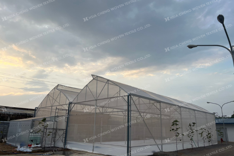 Mô hình kết hợp màng Sun Master và lưới chắn côn trùng APON Mô hình kết hợp màng Sun Master và lưới chắn côn trùng APON