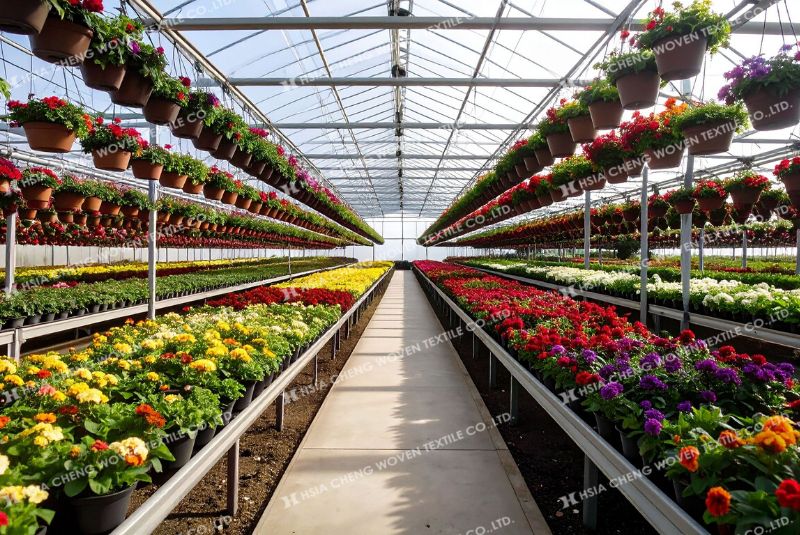 Trồng hoa trong nhà kính - nhà nông có thể trồng quanh năm