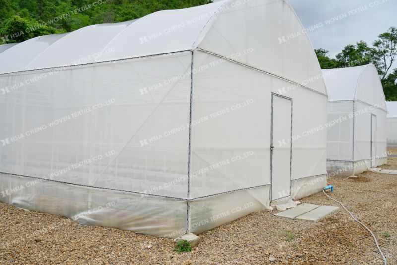 Lưới chắn côn trùng rất cần thiết cho nhà màng Lưới chắn côn trùng rất cần thiết cho nhà màng