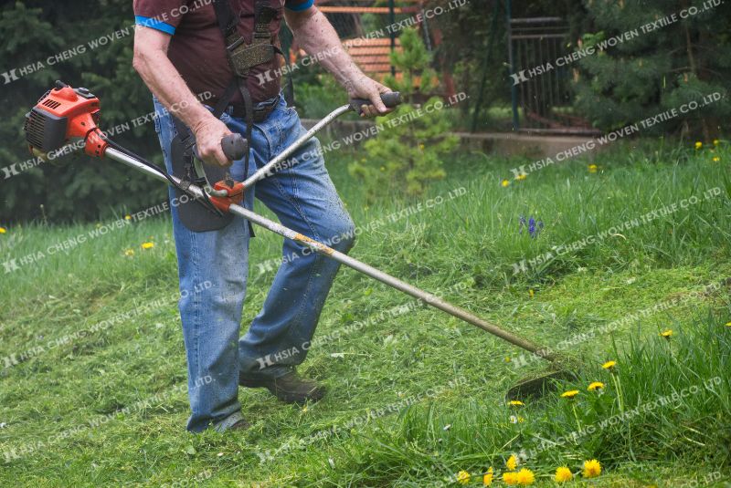 Cỏ dại là nỗi ám ảnh thường trực của mọi nhà nông Cỏ dại là nỗi ám ảnh thường trực của mọi nhà nông