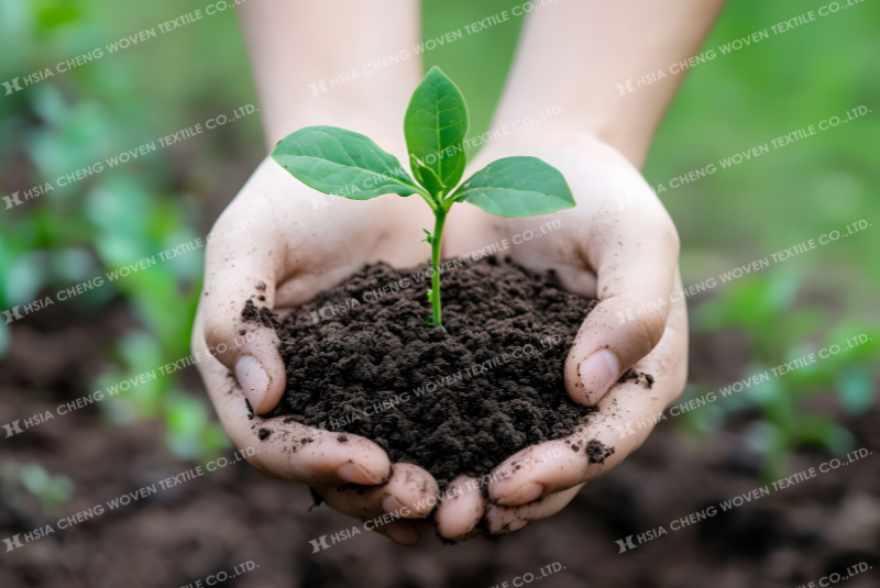 Hệ vi sinh vật đất rất quan trọng đối với sự phát triển của cây trồng