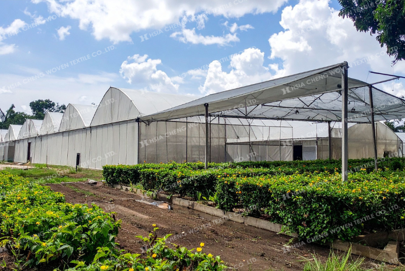 Nên chọn và kết hợp đúng loại lưới để phát huy tối đa tác dụng Nên chọn và kết hợp đúng loại lưới để phát huy tối đa tác dụng