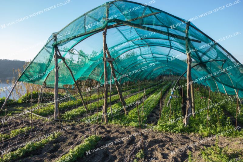 Ứng dụng đa dạng trong nông nghiệp của lưới che nắng dệt kim Ứng dụng đa dạng trong nông nghiệp của lưới che nắng dệt kim