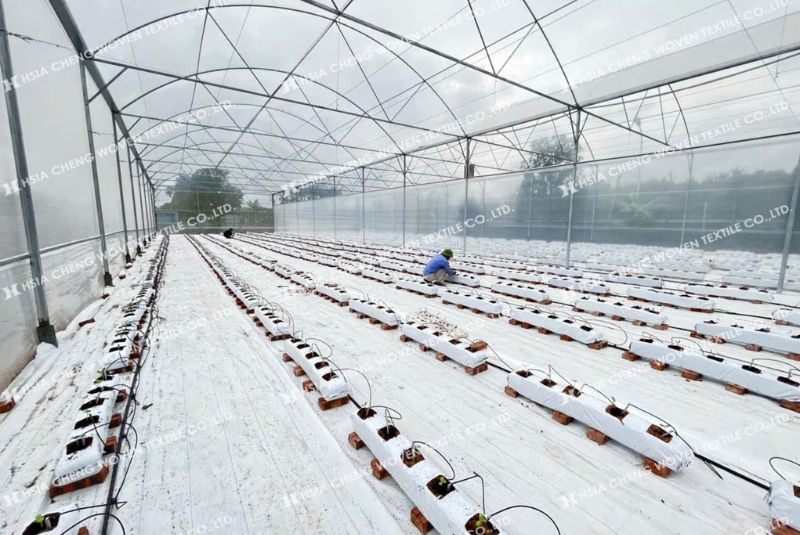 Sử dụng bạt phủ chống cỏ giúp tiết kiệm chi phí đáng kể Sử dụng bạt phủ chống cỏ giúp tiết kiệm chi phí đáng kể