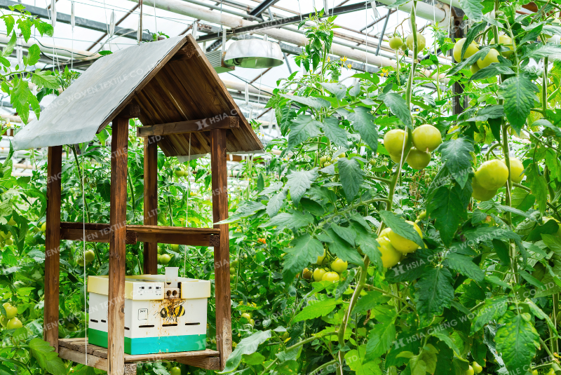 Thụ phấn bằng ong trong nhà màng dùng lưới chắn côn trùng Thụ phấn bằng ong trong nhà màng dùng lưới chắn côn trùng