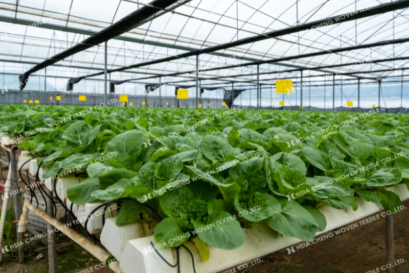 Kết hợp lưới che nắng và tưới tự động bảo vệ cây toàn diện Kết hợp lưới che nắng và tưới tự động bảo vệ cây toàn diện