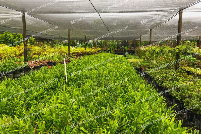 Lưới che nắng dệt kim giúp cây trồng sinh trưởng ổn định Lưới che nắng dệt kim giúp cây trồng sinh trưởng ổn định