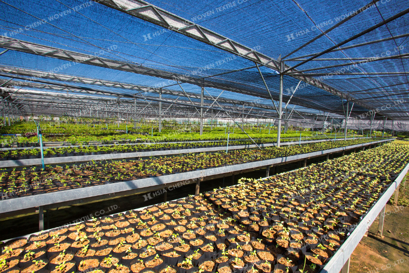 Lưới che nắng dệt thoi APON hiệu quả cao trong nông nghiệp công nghệ cao Lưới che nắng dệt thoi APON hiệu quả cao trong nông nghiệp công nghệ cao