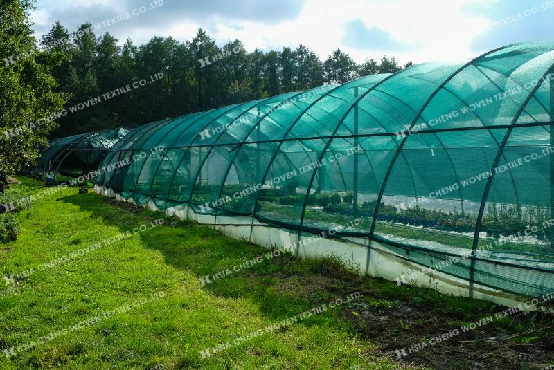 Lưới che nắng dệt kim APON giảm nhiệt hiệu quả