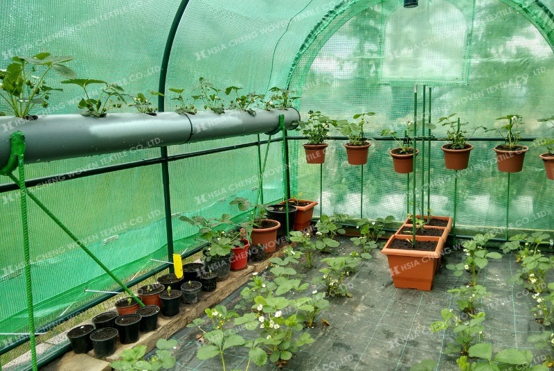 Nên chọn đúng loại bạt phủ chống cỏ và sử dụng đúng cách