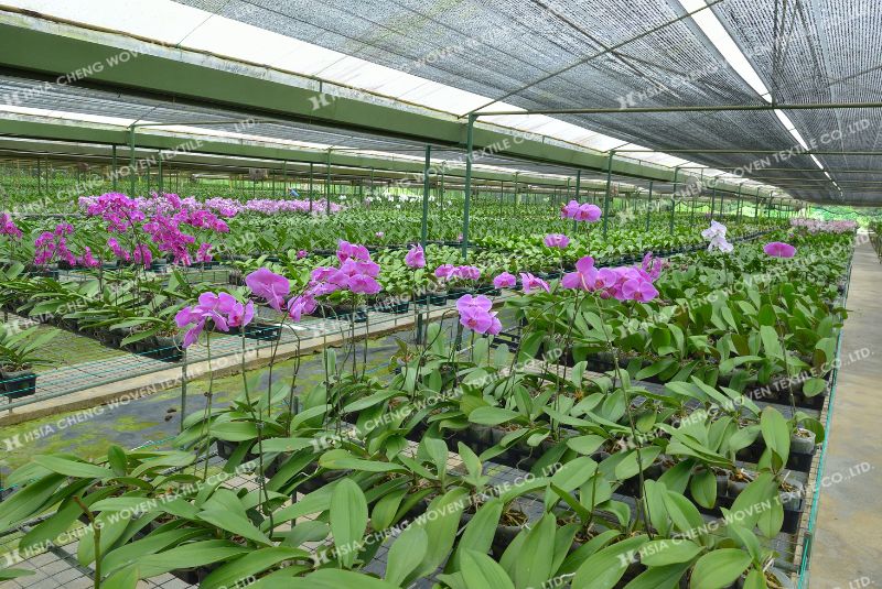 Lưới che nắng giảm stress cho cây hiệu quả