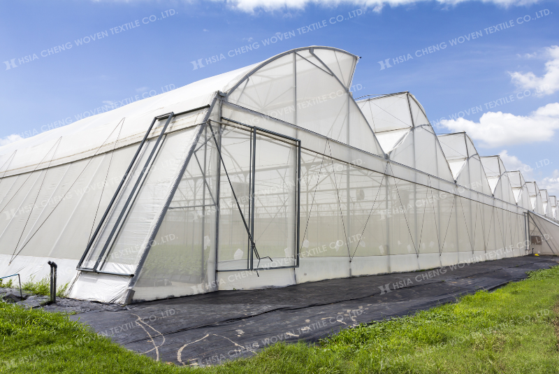 Lưới chắn côn trùng APON phù hợp mọi loại cây trồng Lưới chắn côn trùng APON phù hợp mọi loại cây trồng