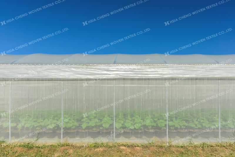 Sử dụng đúng lưới chắn côn trùng - hệ thống nhà màng hoạt động hiệu quả hơn Sử dụng đúng lưới chắn côn trùng - hệ thống nhà màng hoạt động hiệu quả hơn