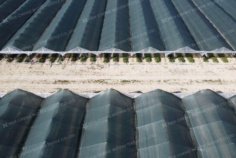 Lắp đặt đúng kỹ thuật sẽ giúp lưới che nắng dệt kim phát huy tối đa hiệu quả