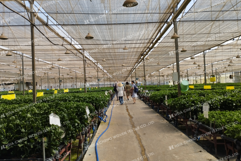 Nên chọn loại lưới che nắng phù hợp với cây trồng Nên chọn loại lưới che nắng phù hợp với cây trồng