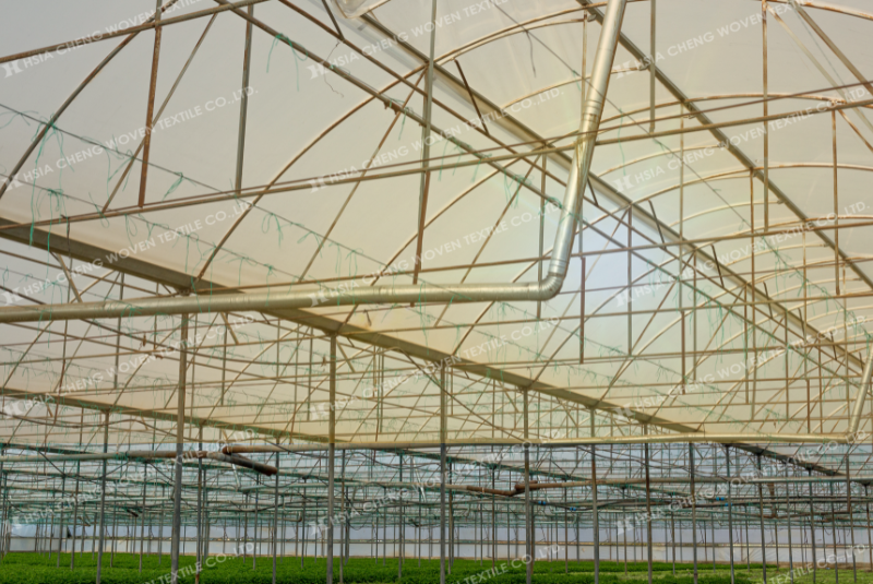 Ổn định nhiệt độ là yếu tố cốt lõi giúp cây trồng phát triển Ổn định nhiệt độ là yếu tố cốt lõi giúp cây trồng phát triển