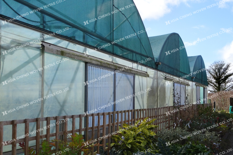 Lưới che nắng bảo vệ cây trồng trong mùa nắng hiệu quả