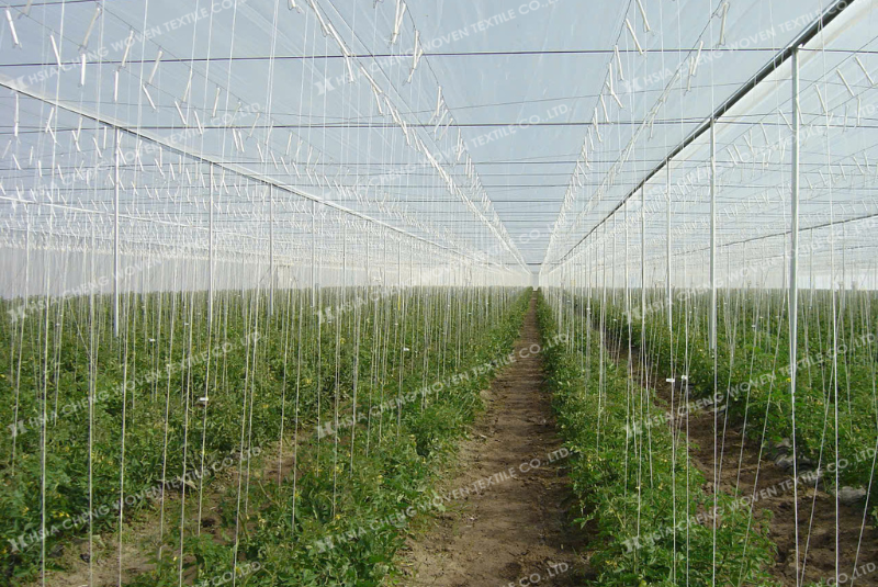 Lưới chắn côn trùng - giải pháp chống sâu bệnh hiệu quả Lưới chắn côn trùng - giải pháp chống sâu bệnh hiệu quả