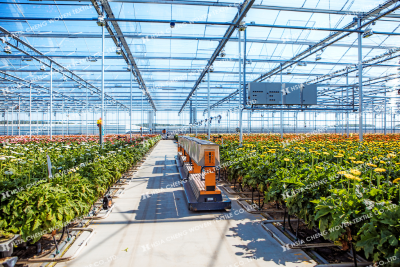 Màng nhà kính giúp ổn định nhiệt độ tối ưu Màng nhà kính giúp ổn định nhiệt độ tối ưu