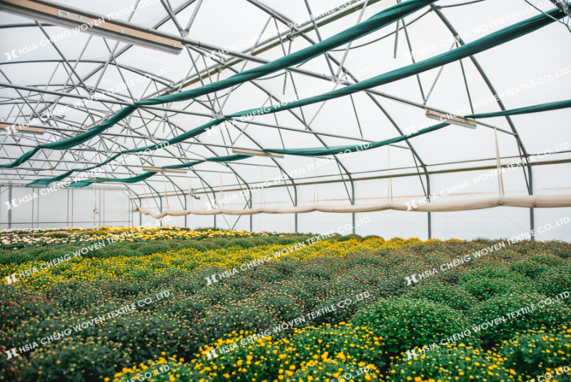 Lưới che nắng giúp môi trường ổn định hơn, cây phát triển tốt hơn