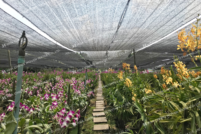 Lưới che nắng giúp nâng cao năng suất cây trồng rõ rệt