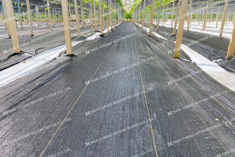 Bạt phủ chống cỏ APON - Phù hợp mọi mô hình nông nghiệp