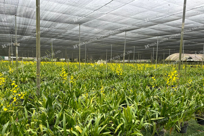 Lưới che nắng dệt kim cho vườn lan