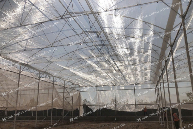 Lưới mùng - lưới chắn côn trùng APON dễ dàng lắp đặt Lưới mùng - lưới chắn côn trùng APON dễ dàng lắp đặt